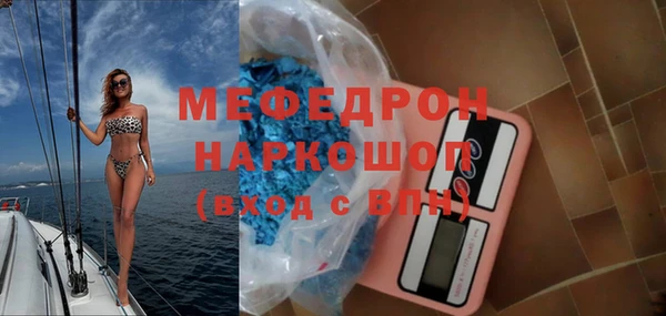стафф Богданович