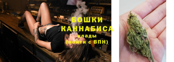 стафф Богданович