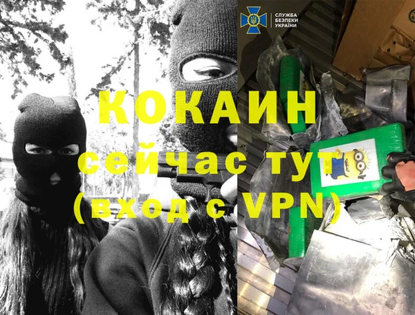 стафф Богданович