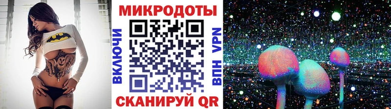 Купить  Великие Луки  Галлюциногенные грибы Cubensis 